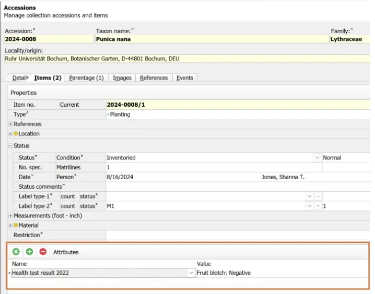New Version 42025 Acc Custom att