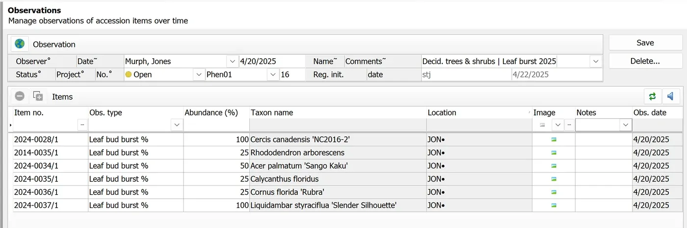 IrisBG 4.6.1.25052 screenshot