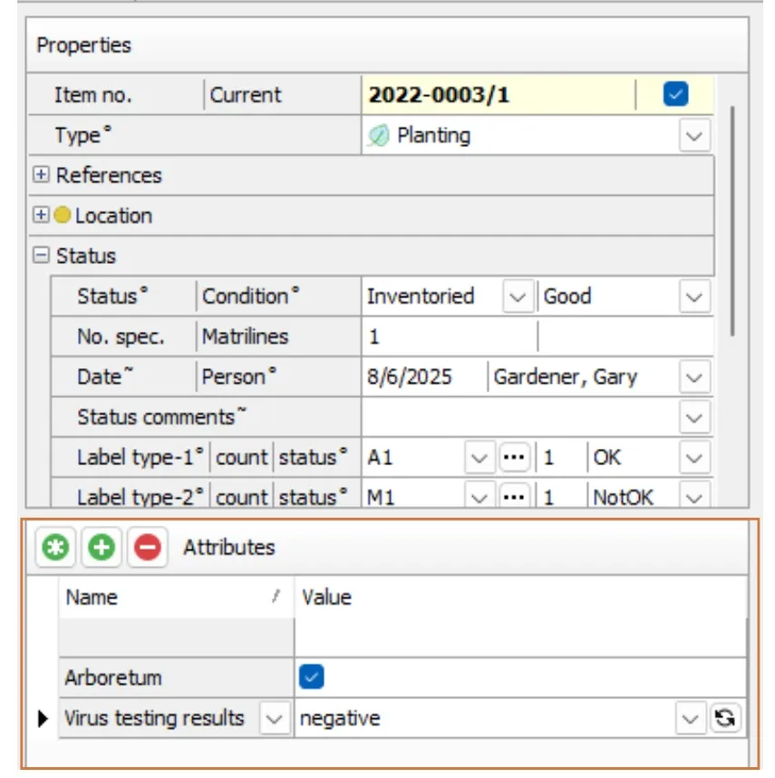 Accession item screen, displaying two item custom attributes